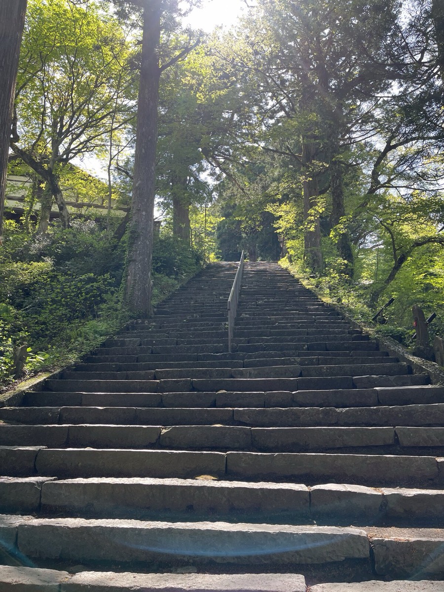新緑に囲まれた大山寺の石段
