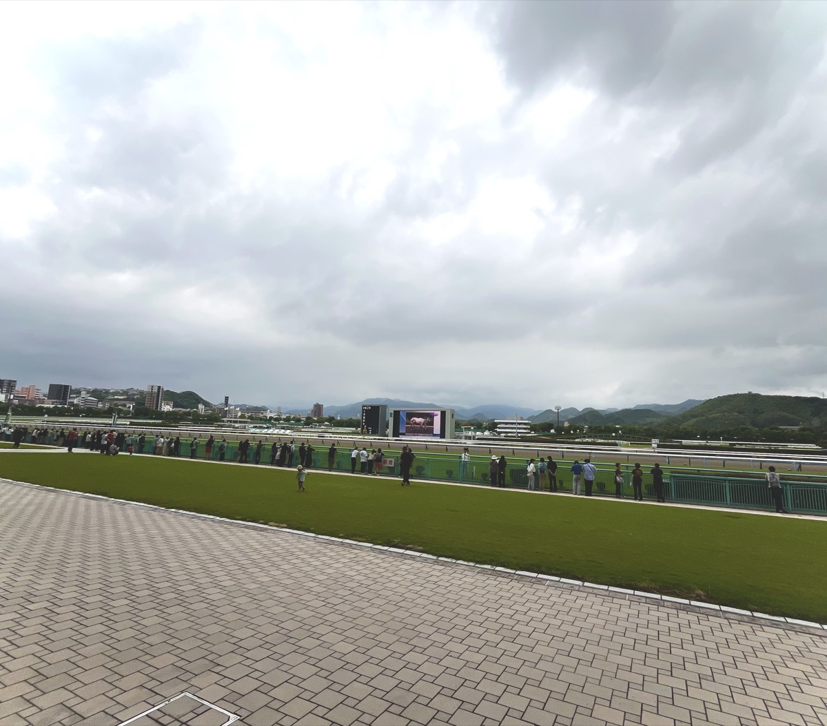 小倉競馬場のコースと観客席